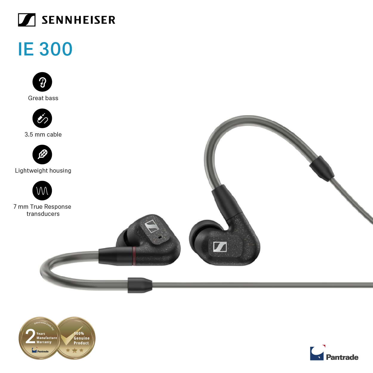 Sennheiser IE300 In-Ear Headphones